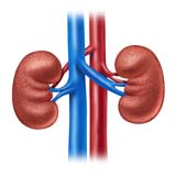 Prilosec Kidney Failure