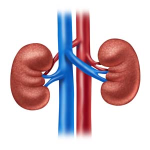 Prilosec Kidney Problems